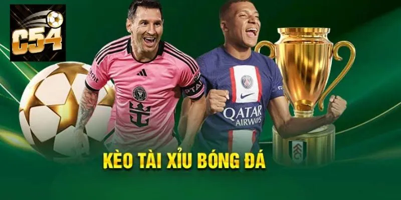 Hướng dẫn cách đọc kèo tài xỉu chính xác cho Newbie