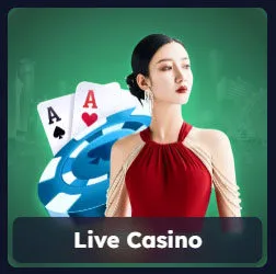 Live casino C54
